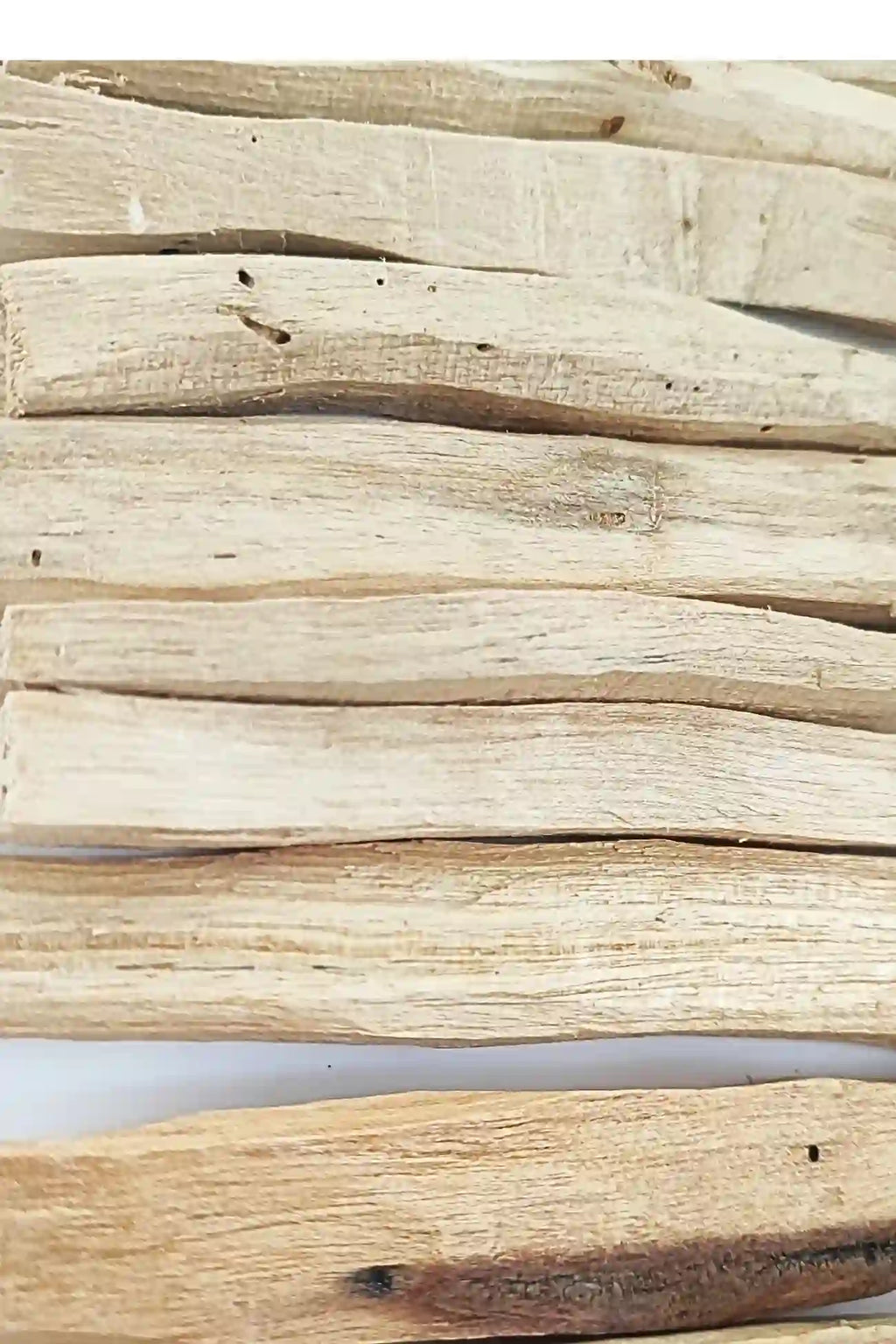 Palo Santo Ecuador Comuneros Close-up view